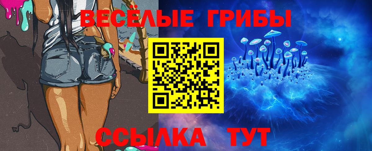 Псилоцибиновые грибы GOLDEN TEACHER Усолье-Сибирское
